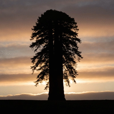 Ręce osoby dorosłej trzymające dłonie dziecka w geście modlitwy, z delikatnym światłem w tle, symbolizujące przekazywanie wiary i duchowości